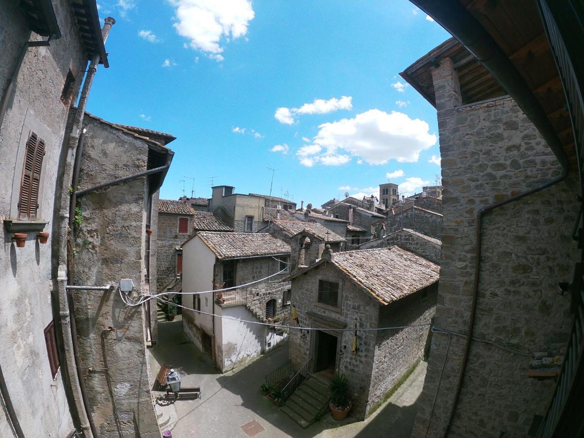 B&B Il Grifo โบมาร์โซ ภายนอก รูปภาพ