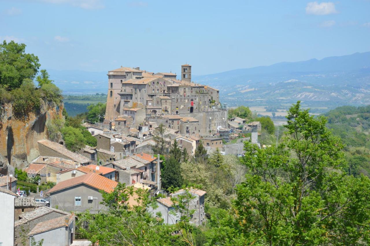 B&B Il Grifo โบมาร์โซ ภายนอก รูปภาพ